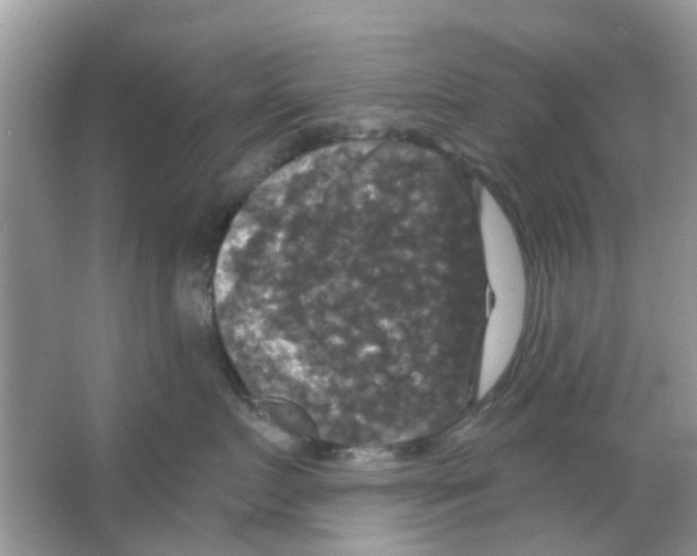 X0000066010719200603312023