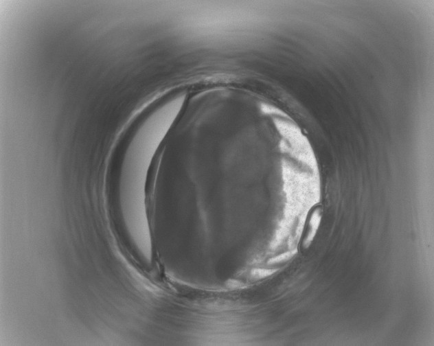 X0000066010722200603312022