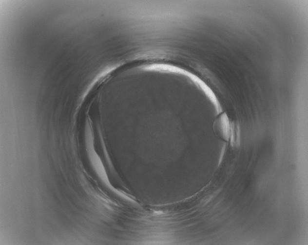 X0000066010723200603312022