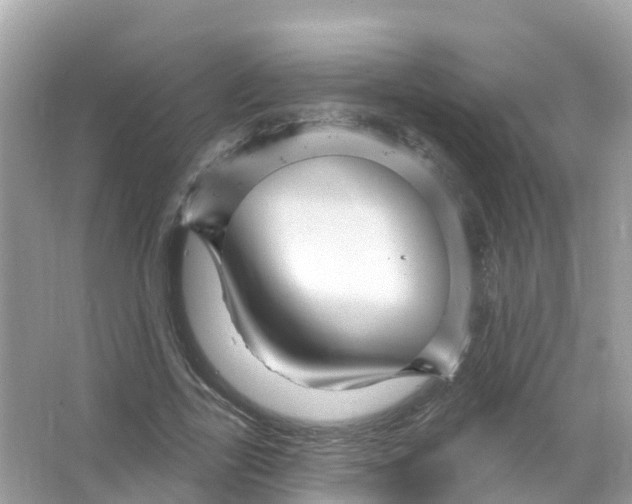X0000066010731200603312022