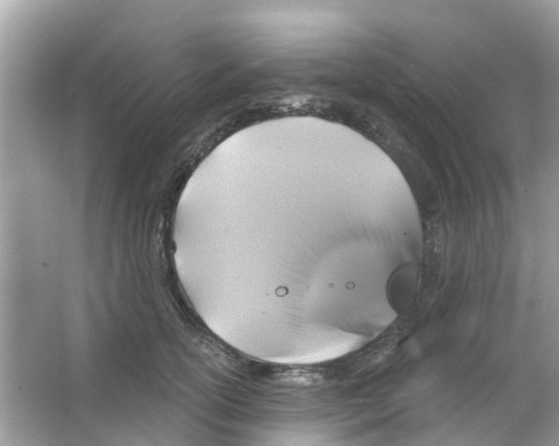 X0000066010754200603312023