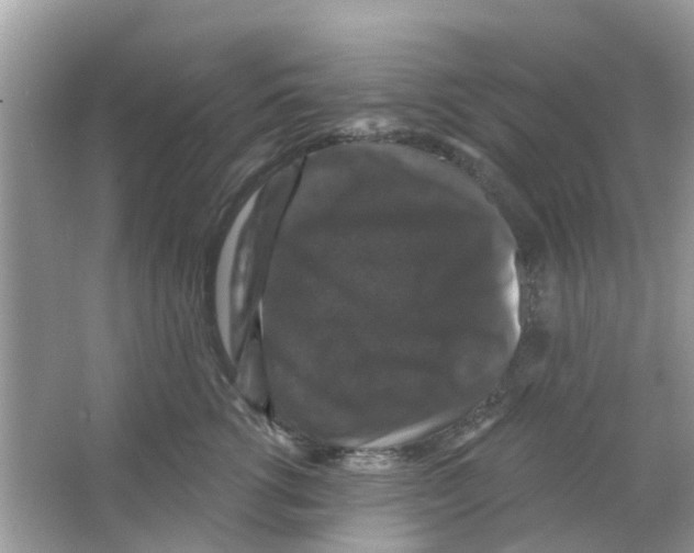 X0000066010762200603312023