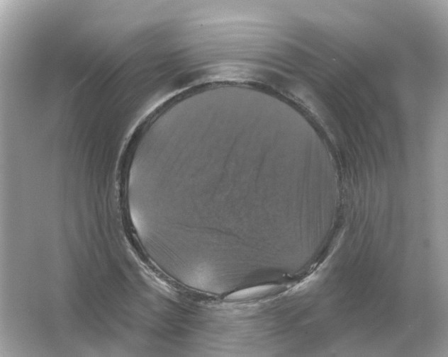 X0000066010779200603312022