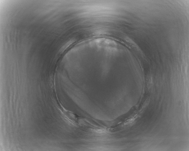 X0000066010785200603312022