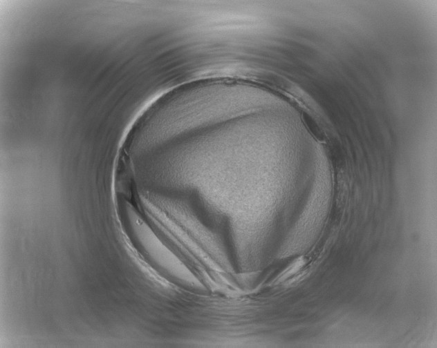 X0000066010788200603312022