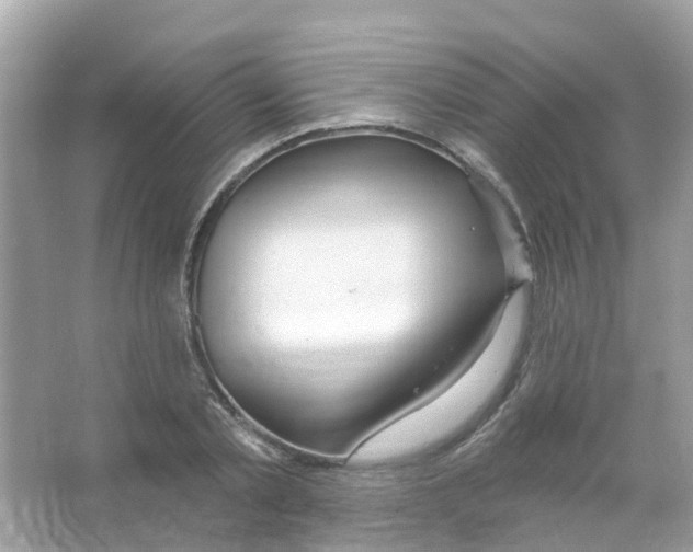 X0000066010789200603312022
