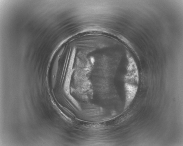 X0000066010791200603312022