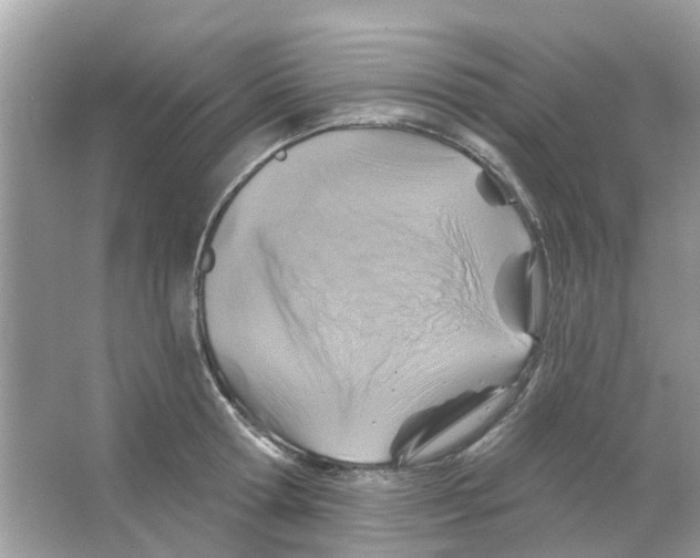 X0000066010802200603312021