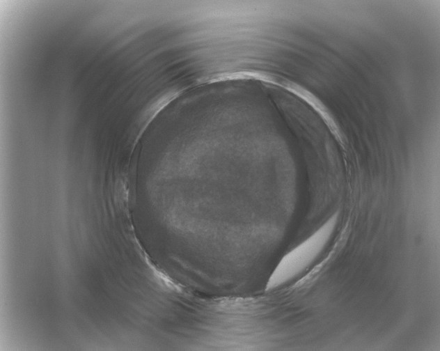 X0000066010809200603312021