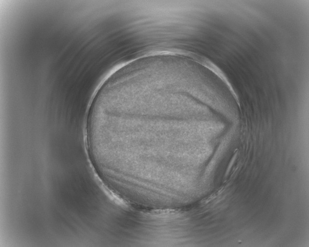X0000066010811200603312021