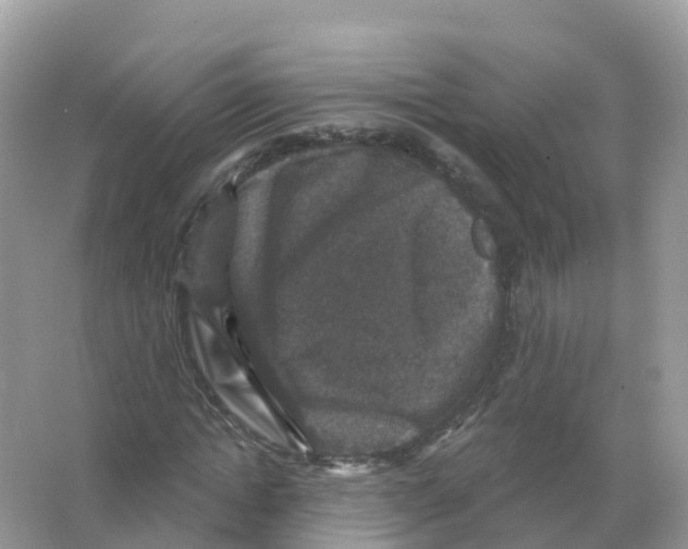 X0000066010822200603312020