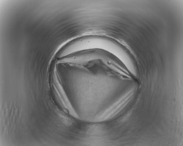 X0000066010830200603312021