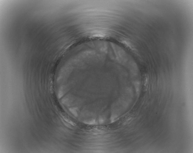 X0000066010868200603312020