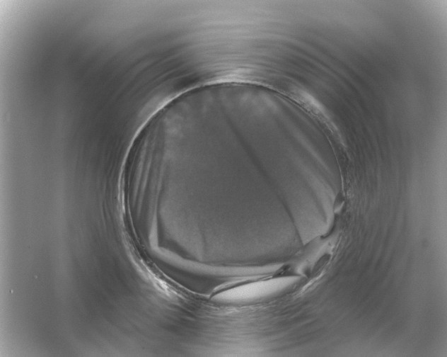 X0000066010892200603312020