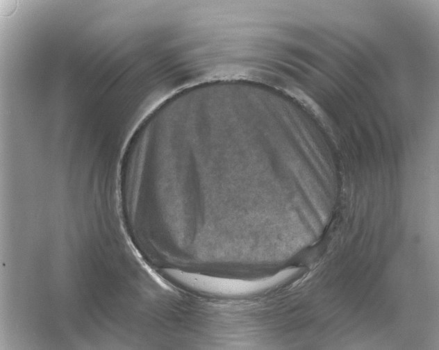 X0000066010894200603312020