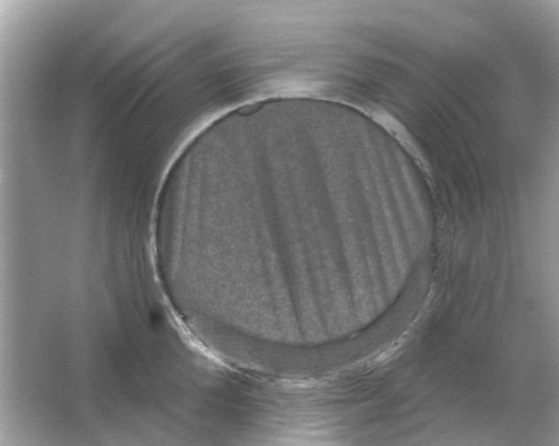 X0000066010904200603312020