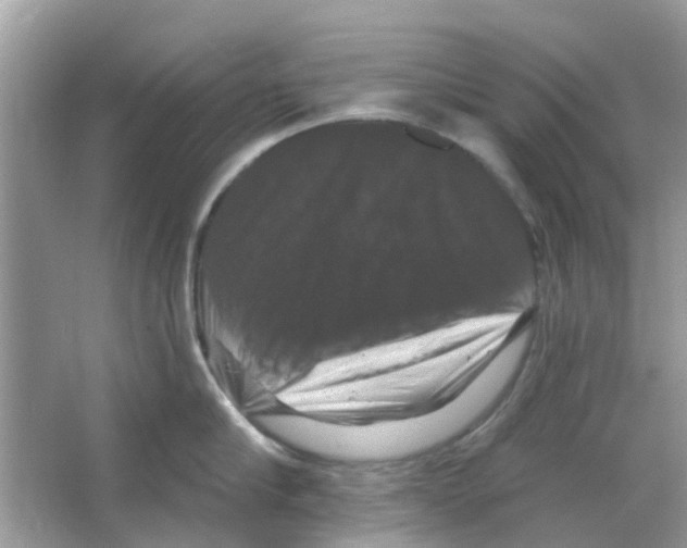 X0000066010910200603312020