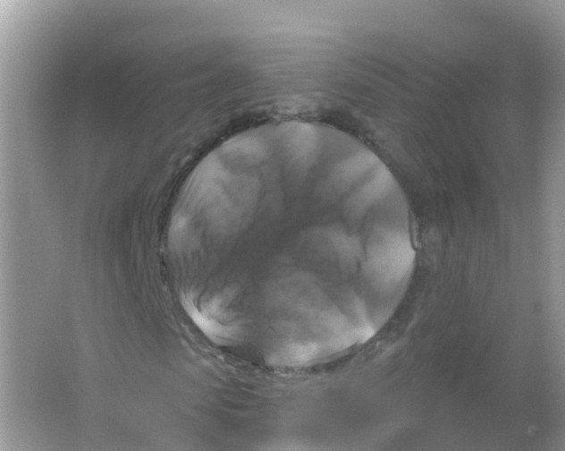 X0000066010913200603312019