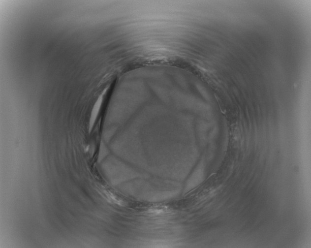 X0000066010916200603312019
