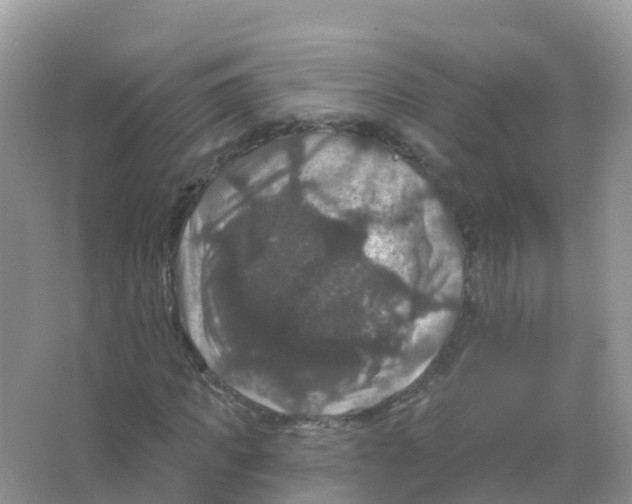 X0000066010917200603312019