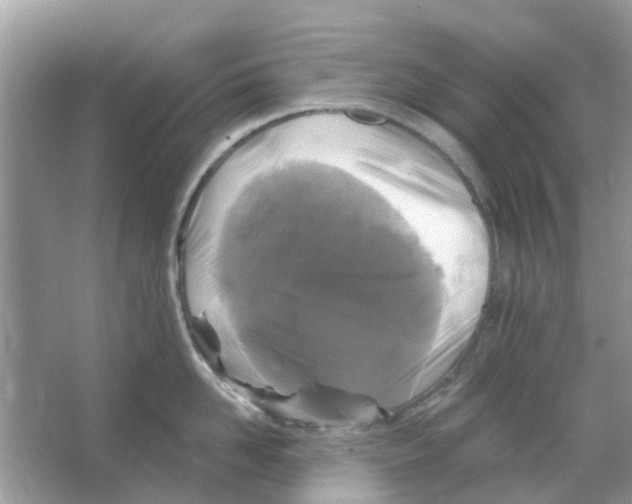 X0000066010958200603312019