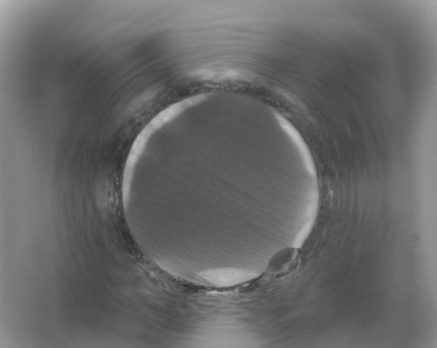 X0000066010966200603312019