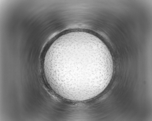 X0000066010974200603312018