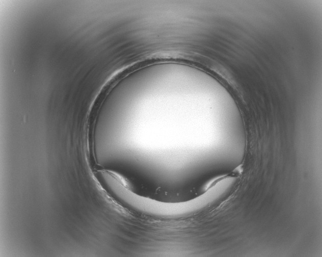 X0000066010984200603312018