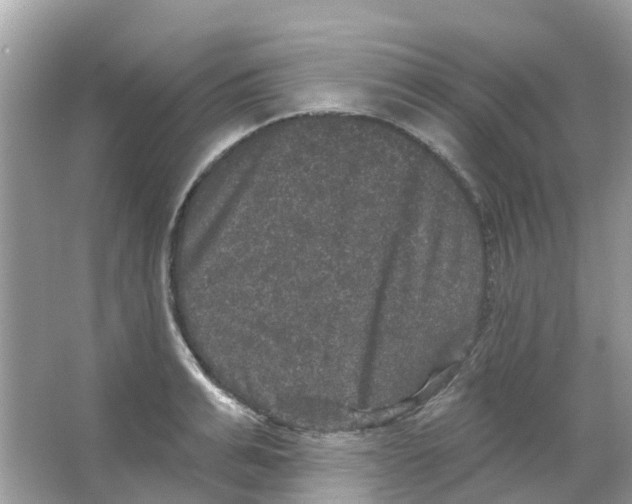 X0000066010991200603312018