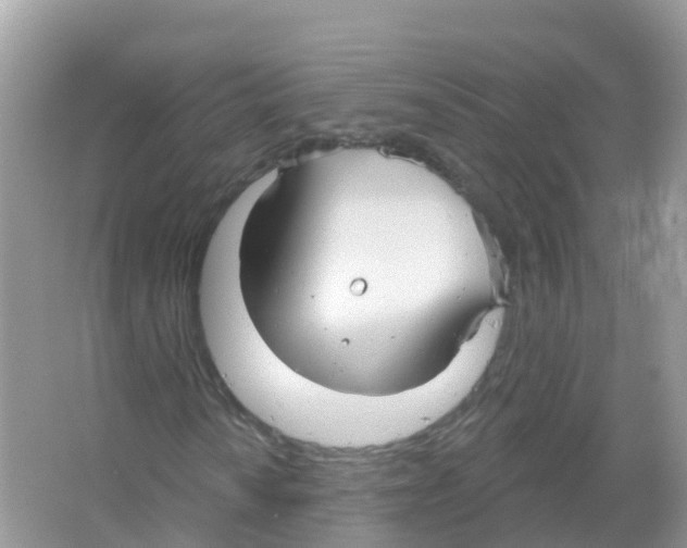 X0000066011010200603312017