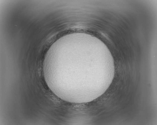 X0000066011015200603312017