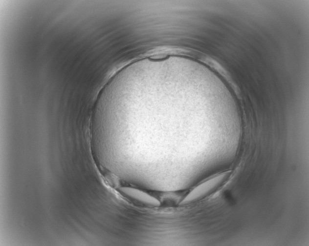 X0000066011049200603312018