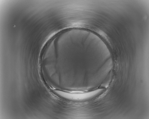 X0000066011077200603312017