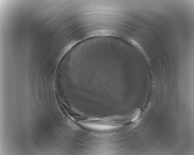 X0000066011081200603312017