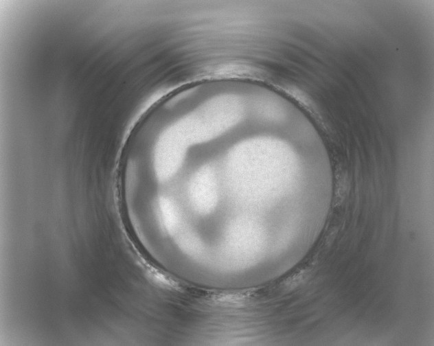 X0000066011086200603312017
