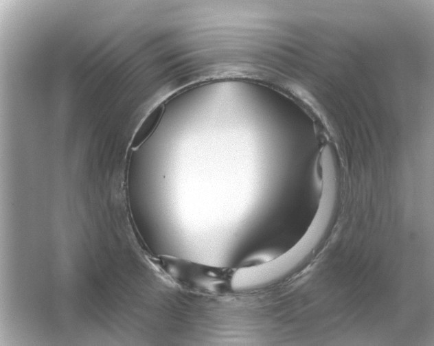 X0000066011089200603312016