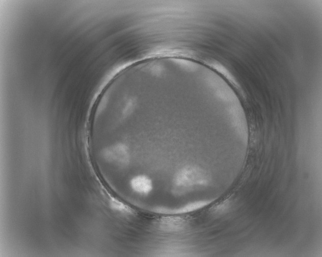 X0000066011094200603312016