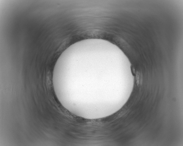 X0000066011107200603312015