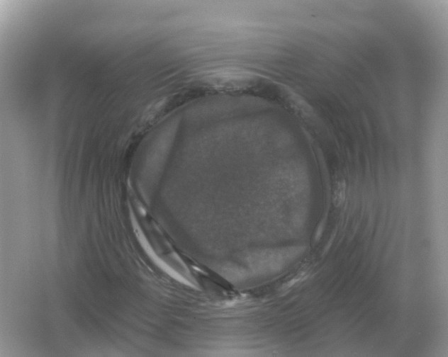 X0000066011108200603312015