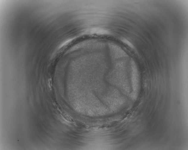X0000066011112200603312016