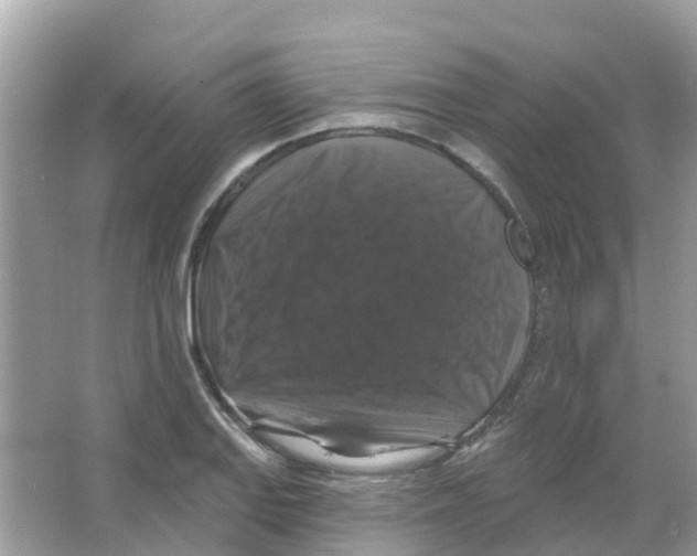X0000066011127200603312016