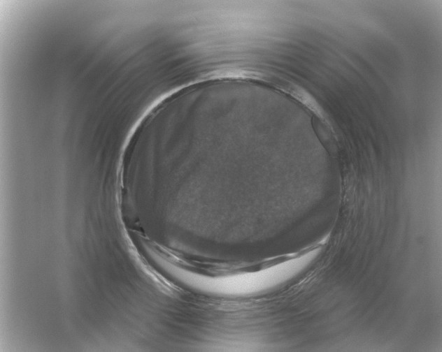 X0000066011132200603312016