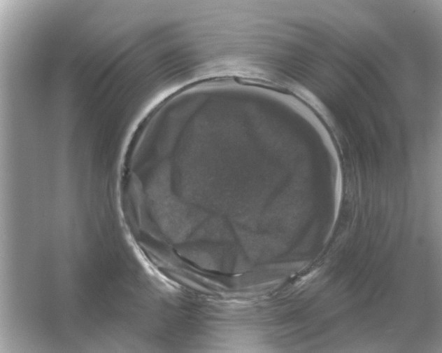 X0000066011144200603312016