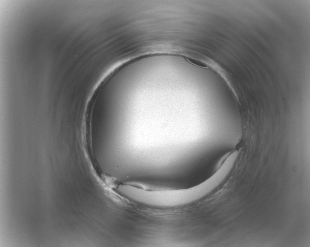 X0000066011147200603312016