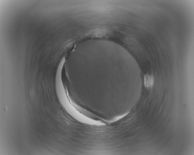 X0000066011155200603312015
