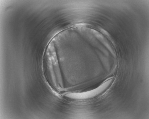 X0000066011194200603312015