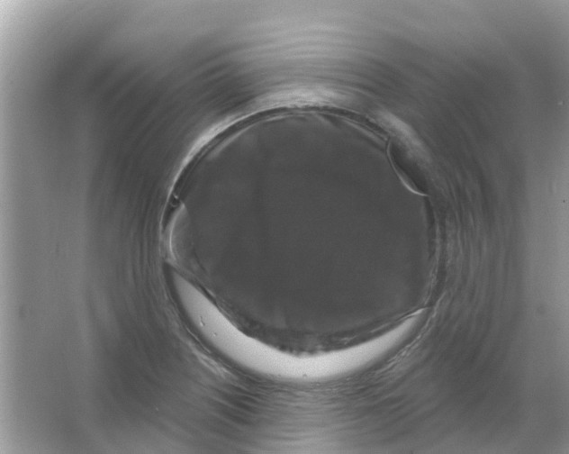 X0000066011226200603312014