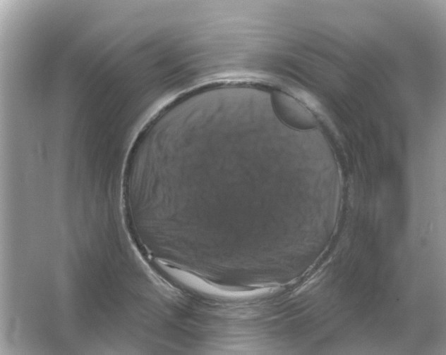 X0000066011229200603312014