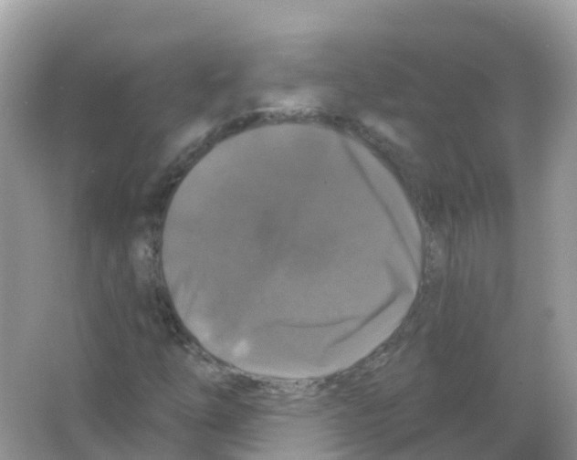 X0000066011254200603312014