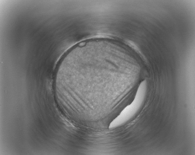 X0000066011260200603312014